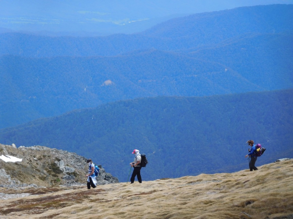 Main Range Track with Women's Fitness Adventures