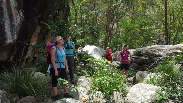 The C.R.E.W on one of our favourite hikes in World Heritage Listed Mt Barney National Park