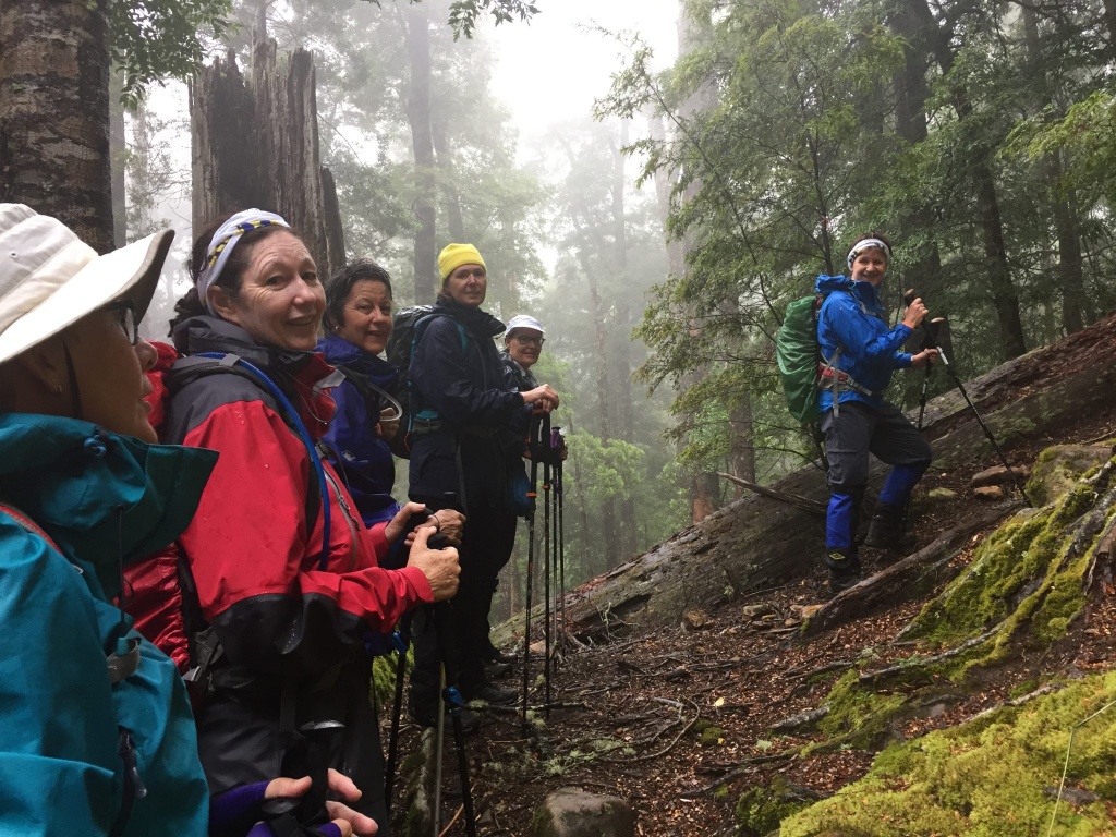 The Women's Fitness Adventures C.R.E.W on a hike in Tasmania in the Western Tiers