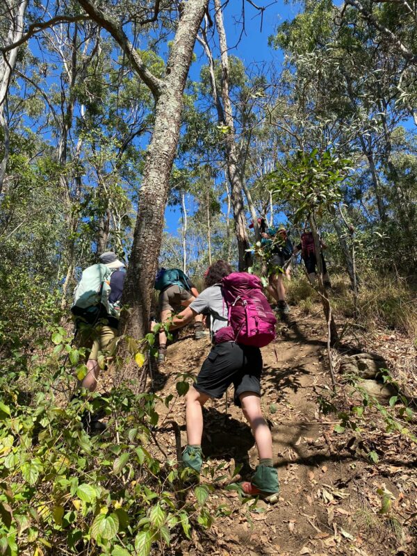 Mt Joyce Hiking with Women's Fitness Adventures