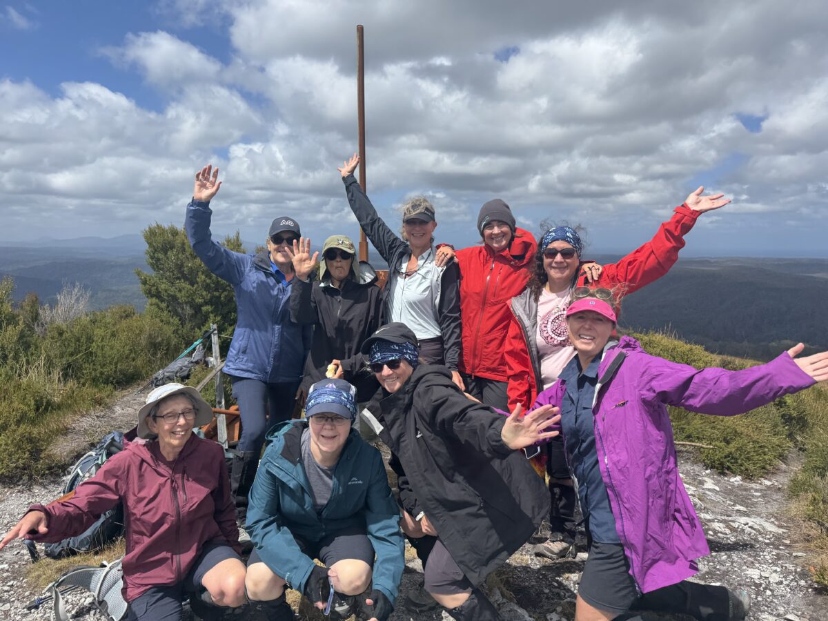 The summit of Mount Donaldson in the Tarkine
