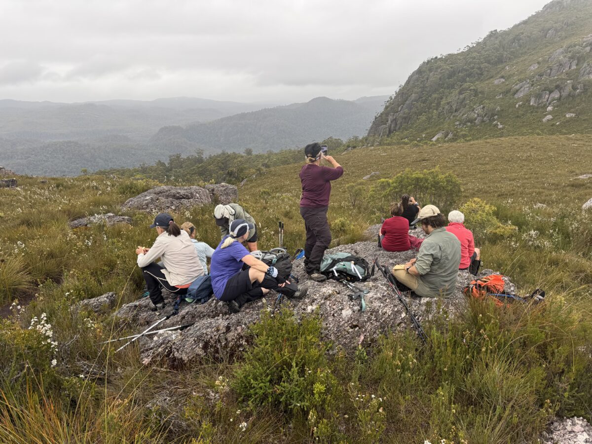 View of the Tarkine while hiking up Mount Farrell