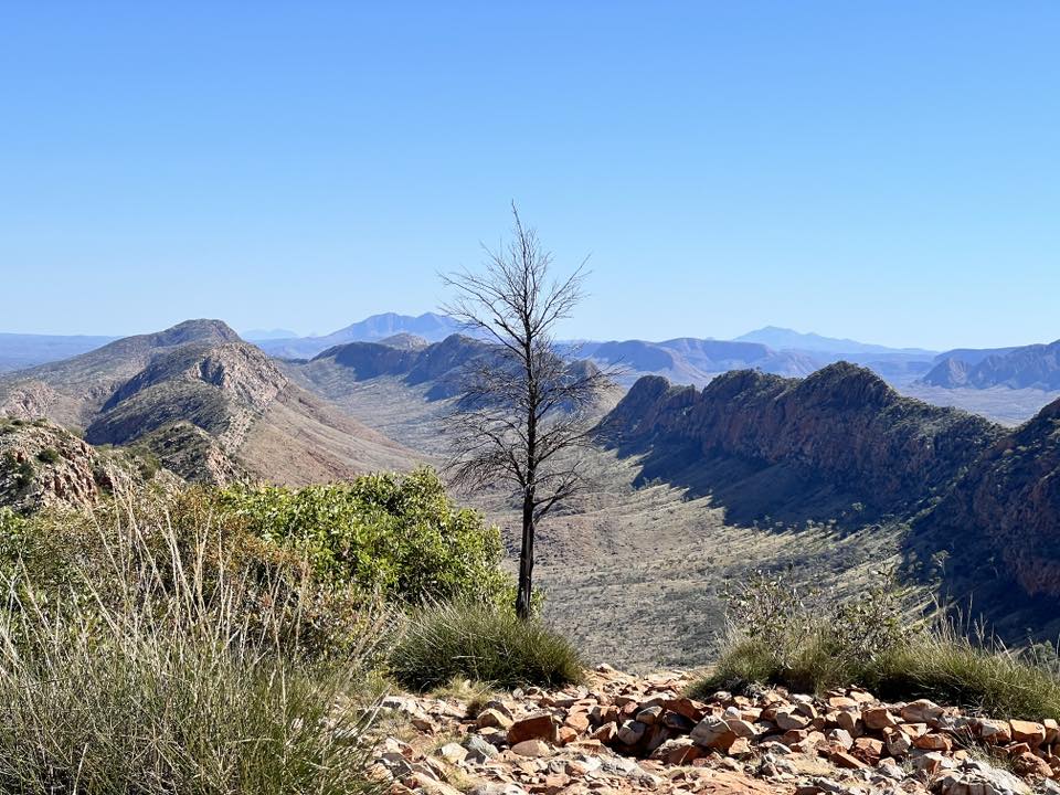 Views from Counts Point on the Larapinta Trail 100km AdventureReady program