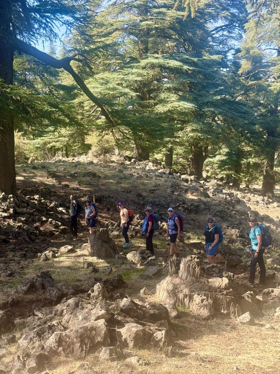 Hiking in the Cedre Forest near Fes in Morocco on a women's hiking tour